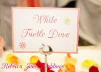 Rebecca Jane Weddings   Handmade Wedding Stationery 1076686 Image 3